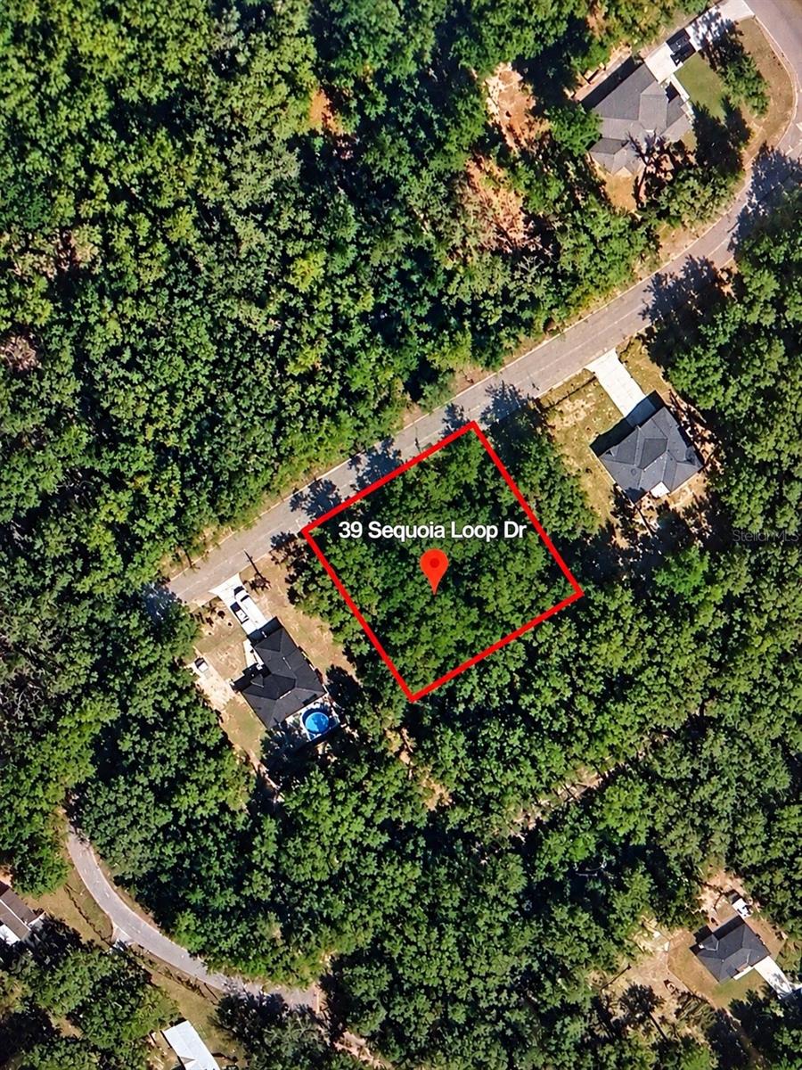 PRICE TO SELL! Great opportunity to own a vacant residential lot in Ocklawaha, FL. Located on SE Sequoia Loop Drive in a peaceful setting, this property offers the perfect opportunity to build your future home or hold as a long-term investment. Ideally situated near beautiful Lake Pendarvis and the Ocklawaha River, offering convenient access to some of the area's best outdoor recreation, including fishing, boating, kayaking, and exploring nature. Enjoy the natural beauty of Marion County while still being within convenient driving distance of shopping, dining, and area amenities. Whether you're looking for a homesite, weekend getaway, or affordable Florida land investment, this property is worth a look. OWNER FINANCING AVAILABLE! Drive by anytime and see the possibilities for yourself. Buyer and buyer's agent to verify zoning, building requirements, utilities, and all property information with Marion County.