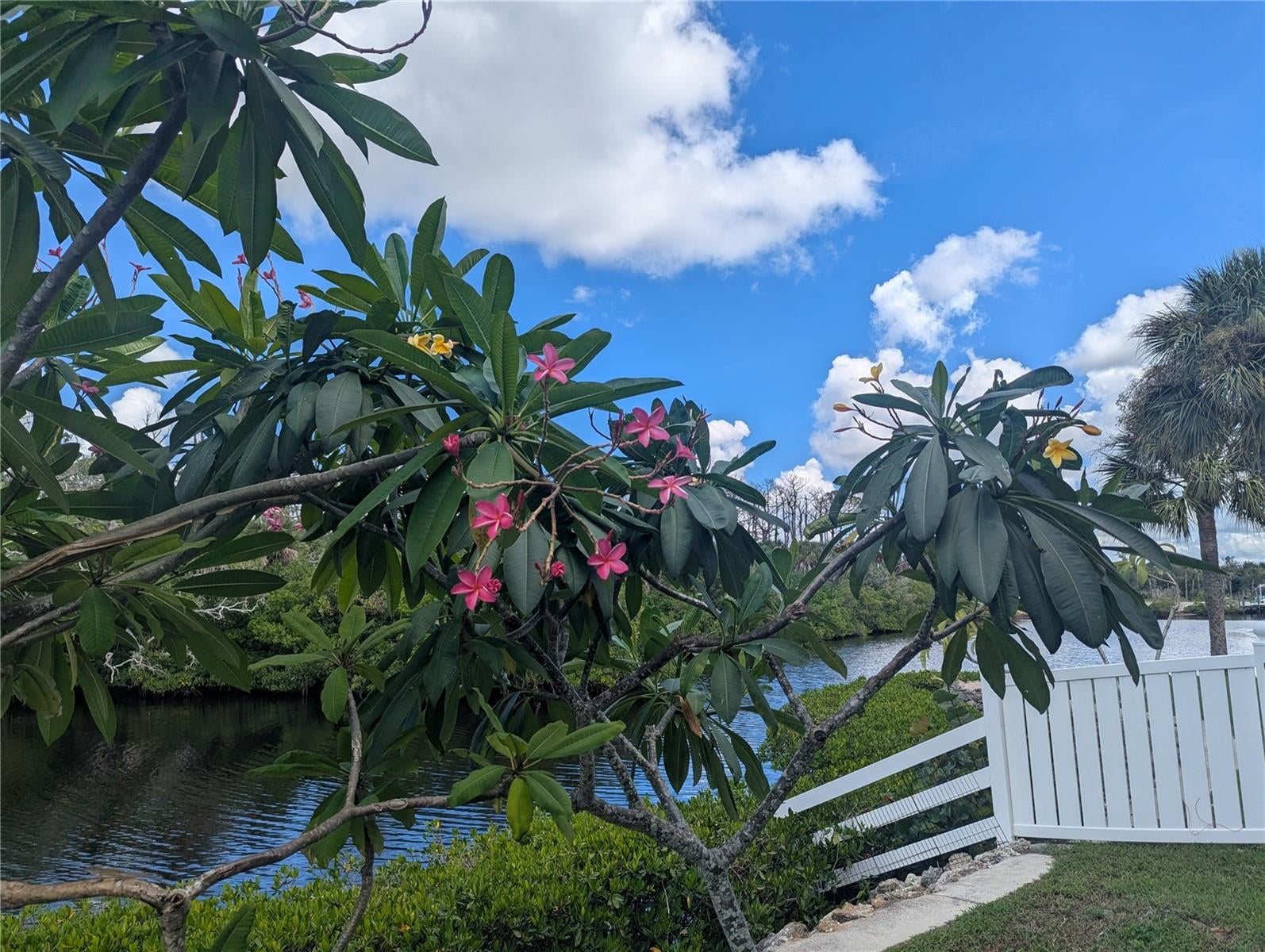 WOODBRIDGE - Residential