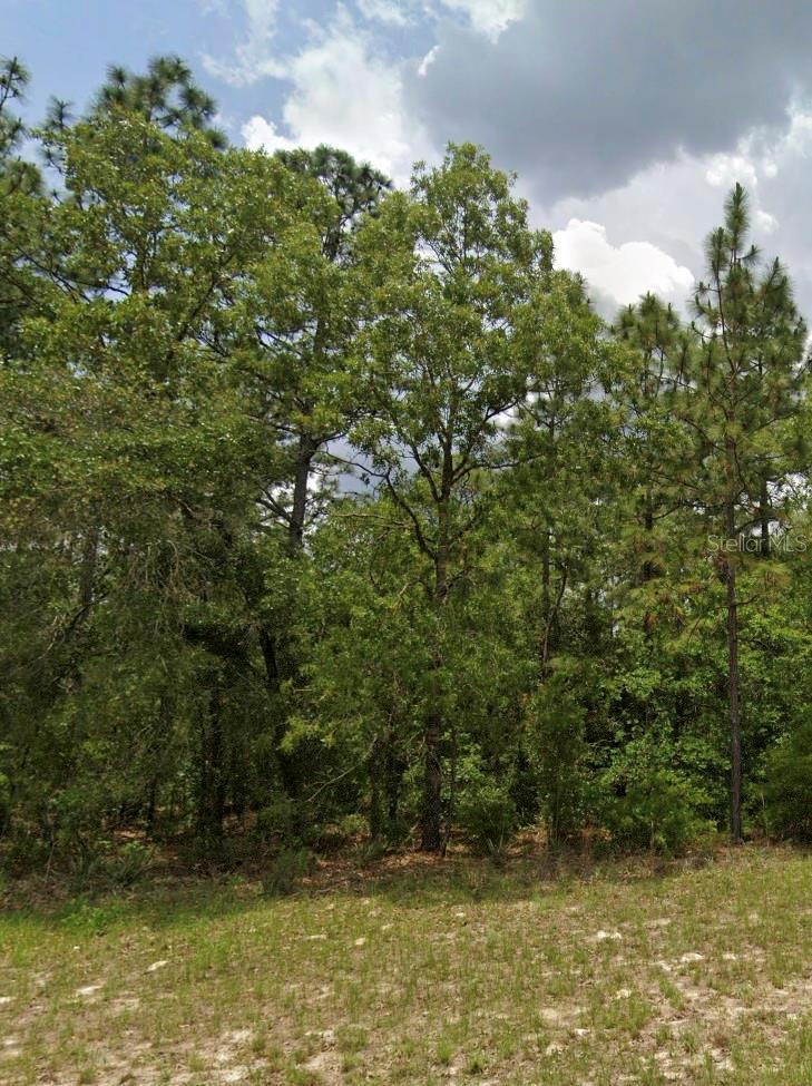 MARION OAKS UN NINE - Land