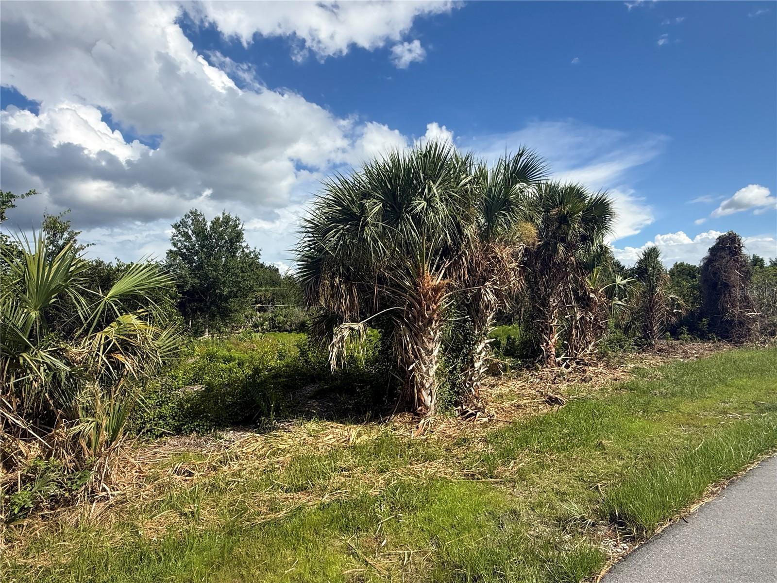 PORT CHARLOTTE SEC 063 - Land