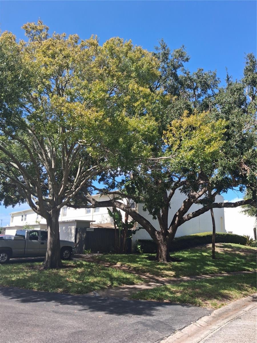 TAMPA VILLAS SOUTH - Residential