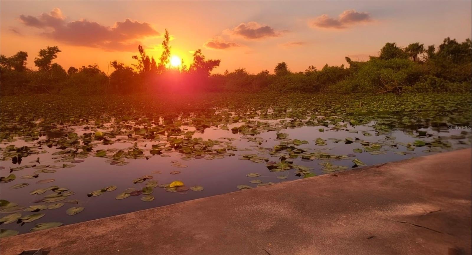 Location. Location. Location. 4.8 private acres with a pond, sitting just off Airport Road in Punta Gorda, with I-75, Punta Gorda Airport, Charlotte County schools, and downtown all a short drive from the gate. This is the address buyers circle back to.
Open views over your own pond. A gated front. Full access around the water. The road base is down, paved parking is at the front, and a recent survey and building plans are already in hand. City water and power are available. No HOA. Outside the city limits. About 365 feet of frontage on Florida Street.
Zoned RE-1 today, with a future land use of Public Lands & Facilities for facilities, educational, religious, and public use, and it could be rezoned for commercial use. On land you will not find again this close to the airport and the interstate. They are not making any more of it. The ones who move on this are the ones who get it.
7405 Florida St, Punta Gorda, FL 33950. About 4.8 acres. Just off Airport Road. Zoned RE-1, Future land use: Public Lands & Facilities. Private pond, recent survey, building plans, road base down, gated front, no HOA.