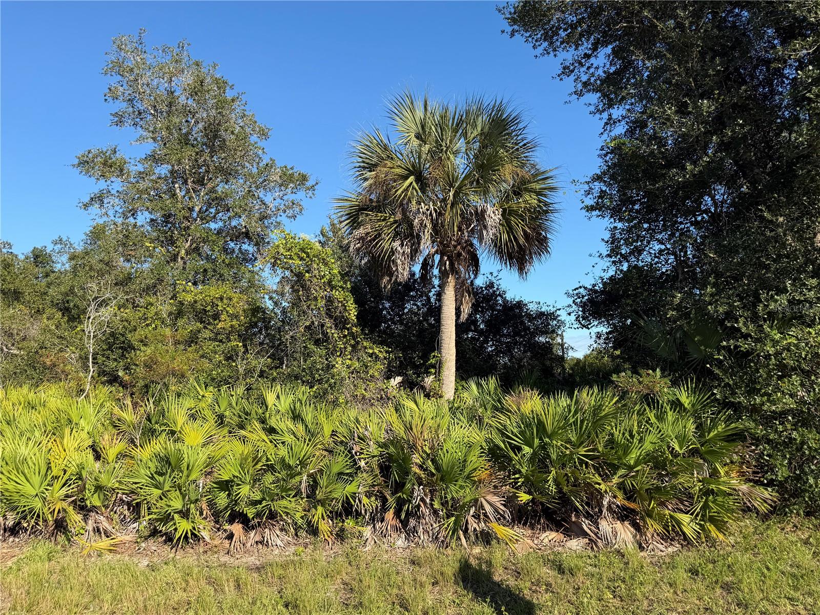 PORT CHARLOTTE SEC 061 - Land