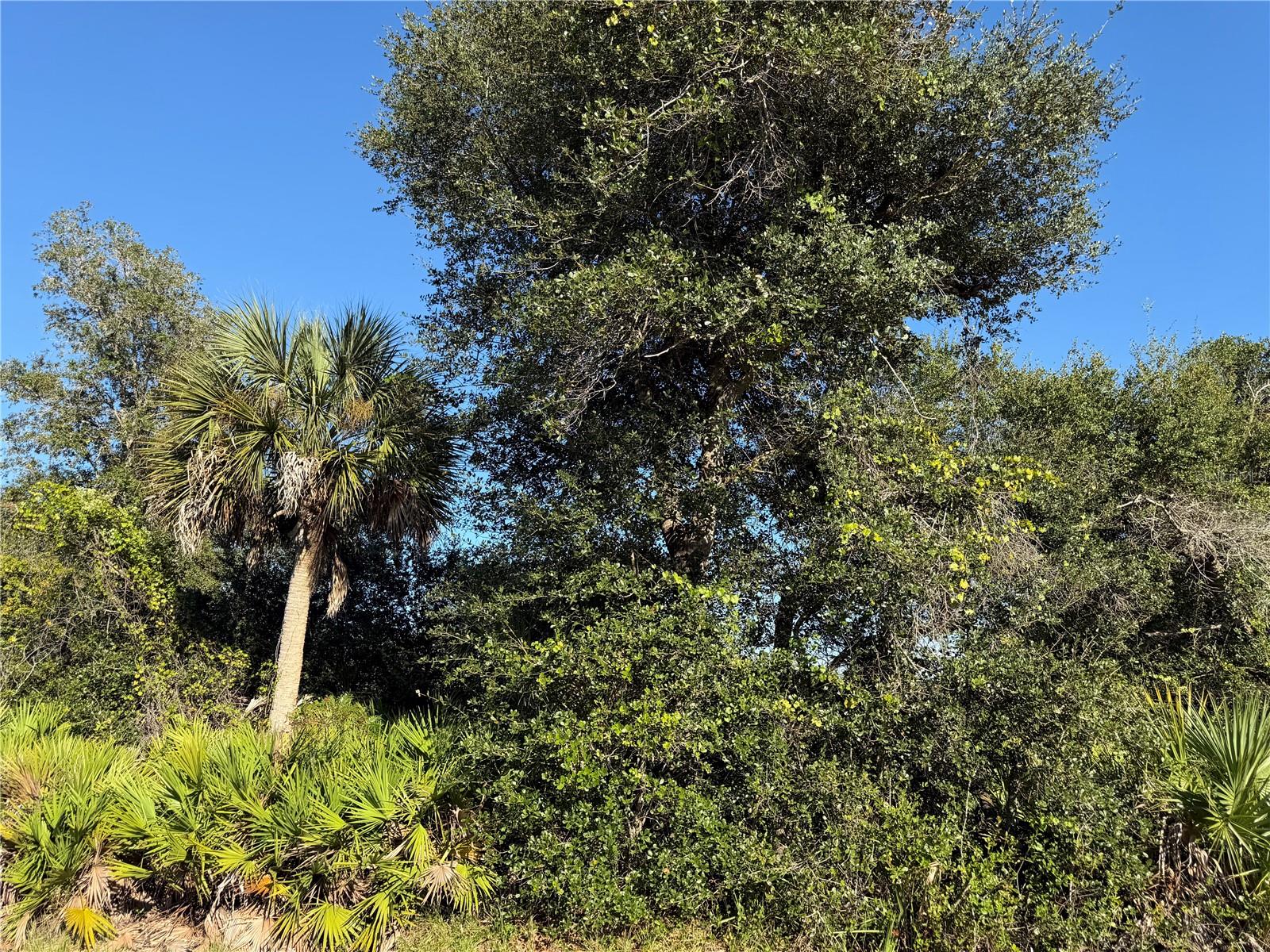 PORT CHARLOTTE SEC 061 - Land