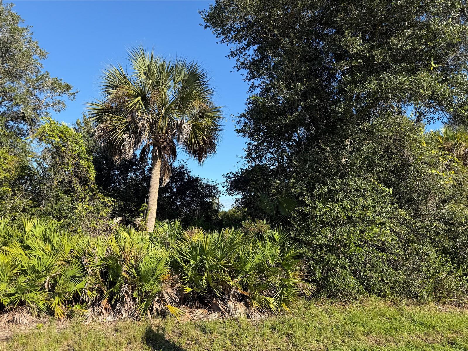 PORT CHARLOTTE SEC 061 - Land