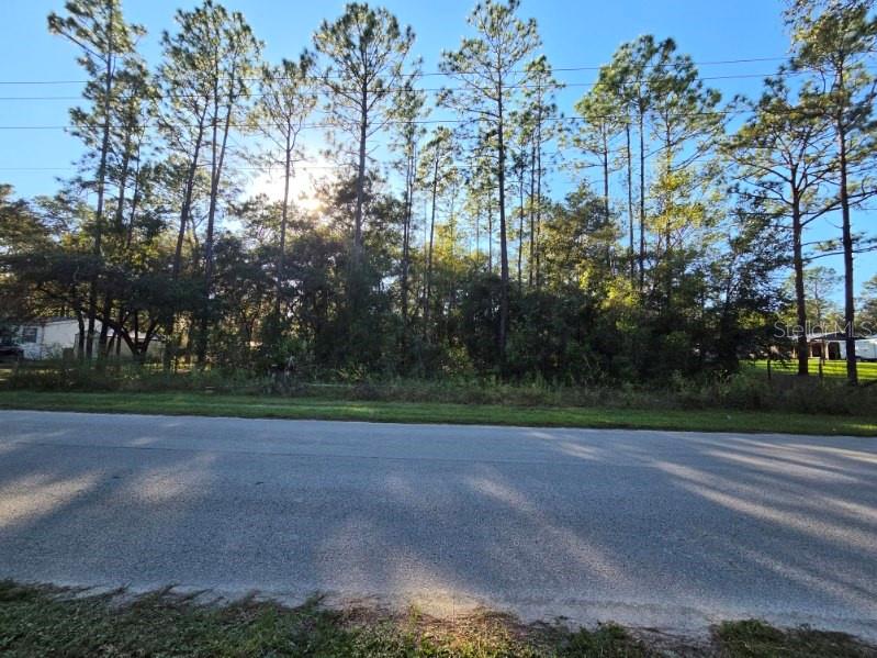 Come see this 0.38-acre vacant lot in Dunnellon! Need funding for this property? Call me! This property offers an opportunity to build your future home and enjoy the peaceful surroundings of country living. Zoned A-2 with paved road frontage, this parcel provides space to bring your vision to life. Enjoy a rural setting while remaining within driving distance of shopping, dining, and everyday conveniences. Whether you're looking to build now or invest for the future, this property is worth exploring! Buyer to verify zoning, permitted uses, utilities, and building requirements with Marion County.