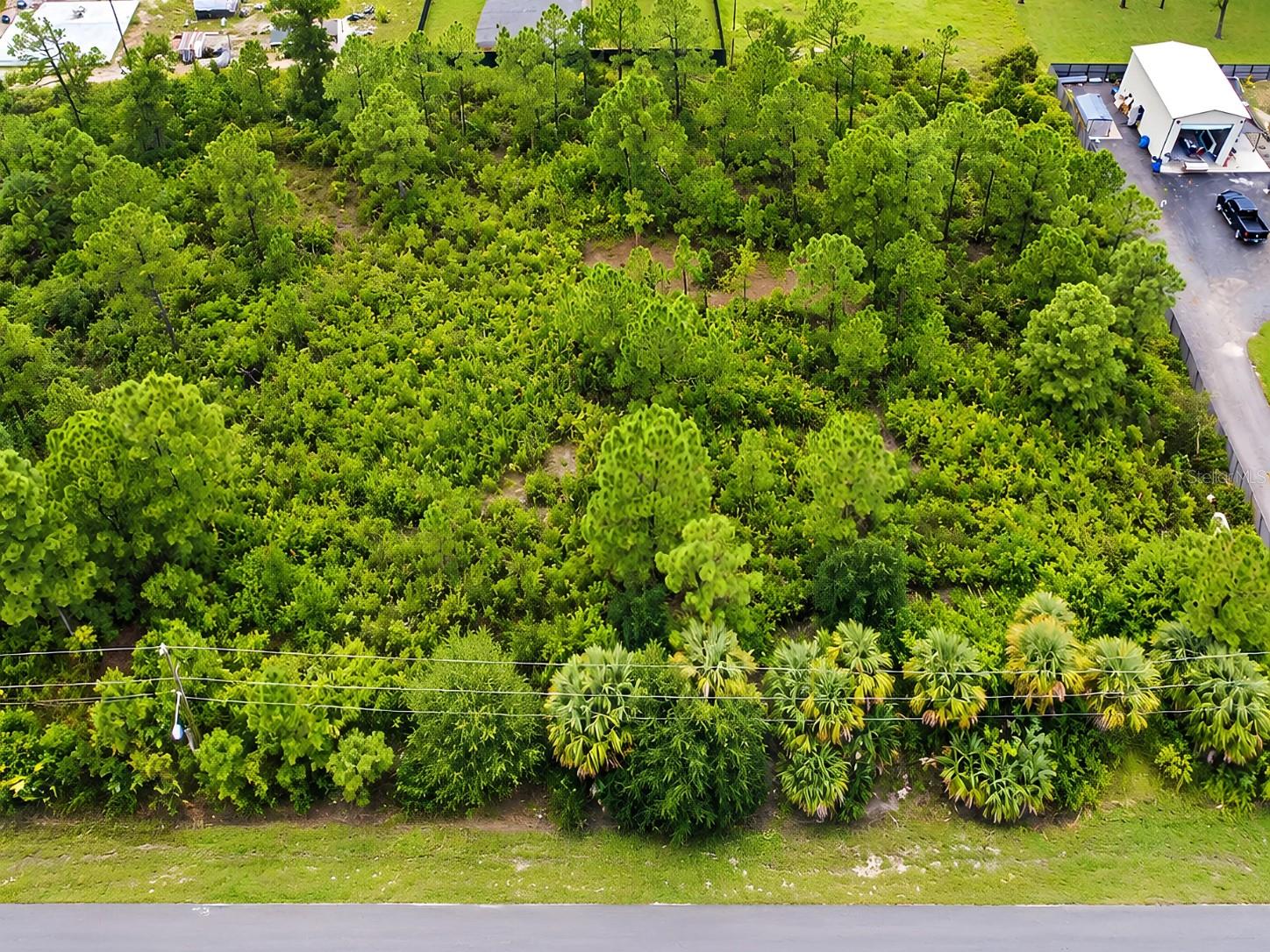 LEHIGH ACRES - Land