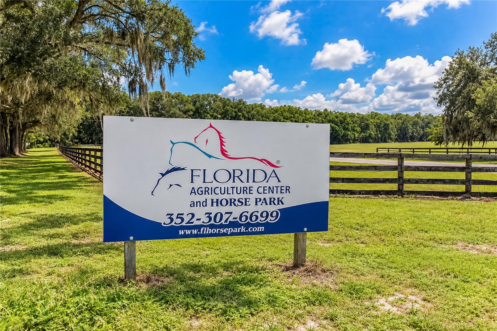 EQUINE ESTATE - Land