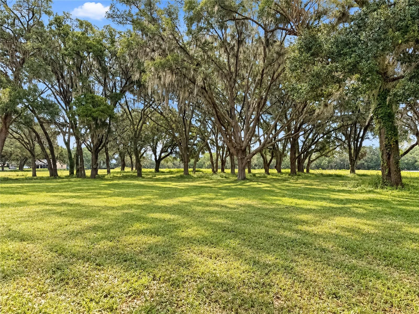 EQUINE ESTATE - Land