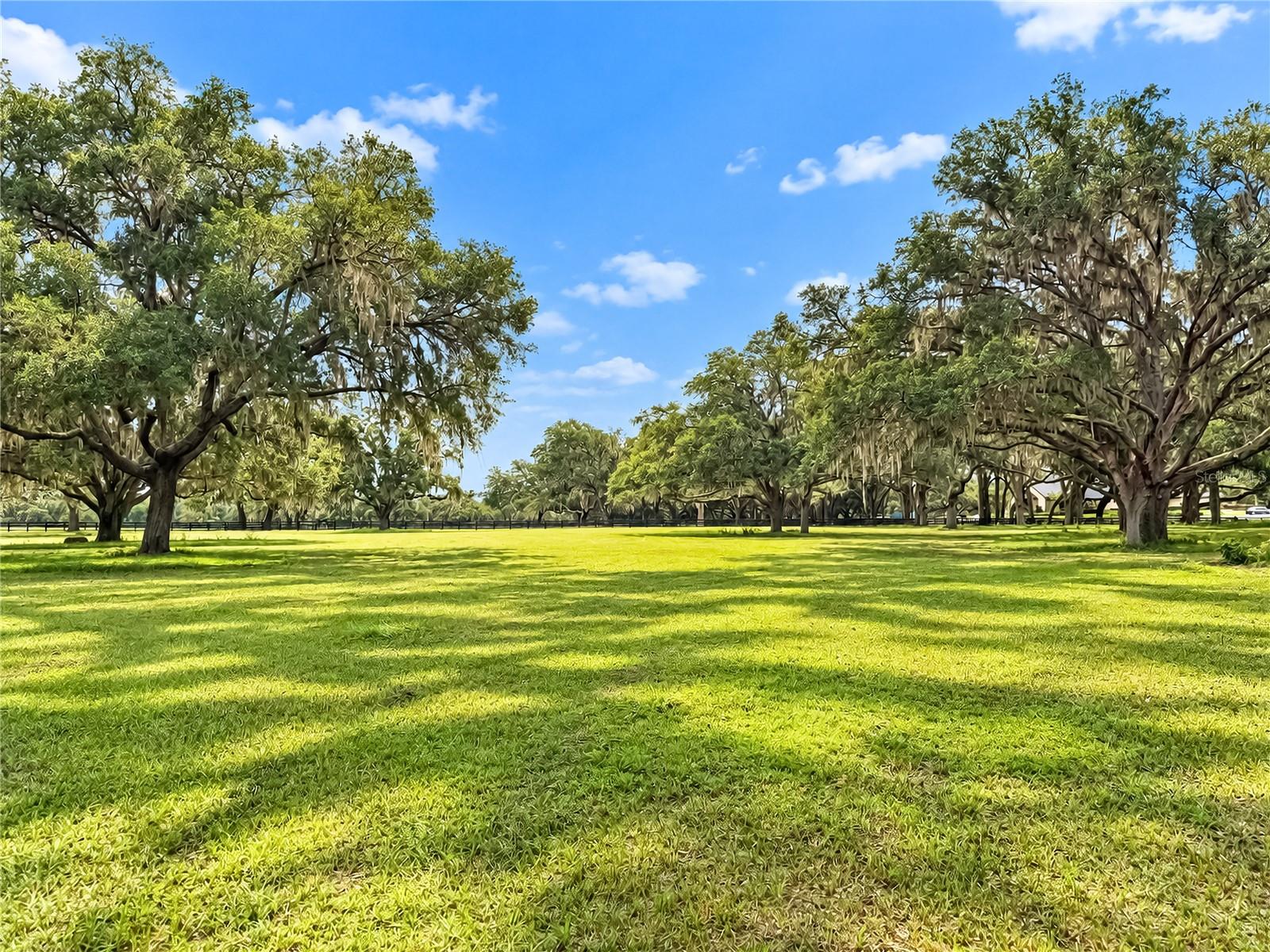 EQUINE ESTATE - Land