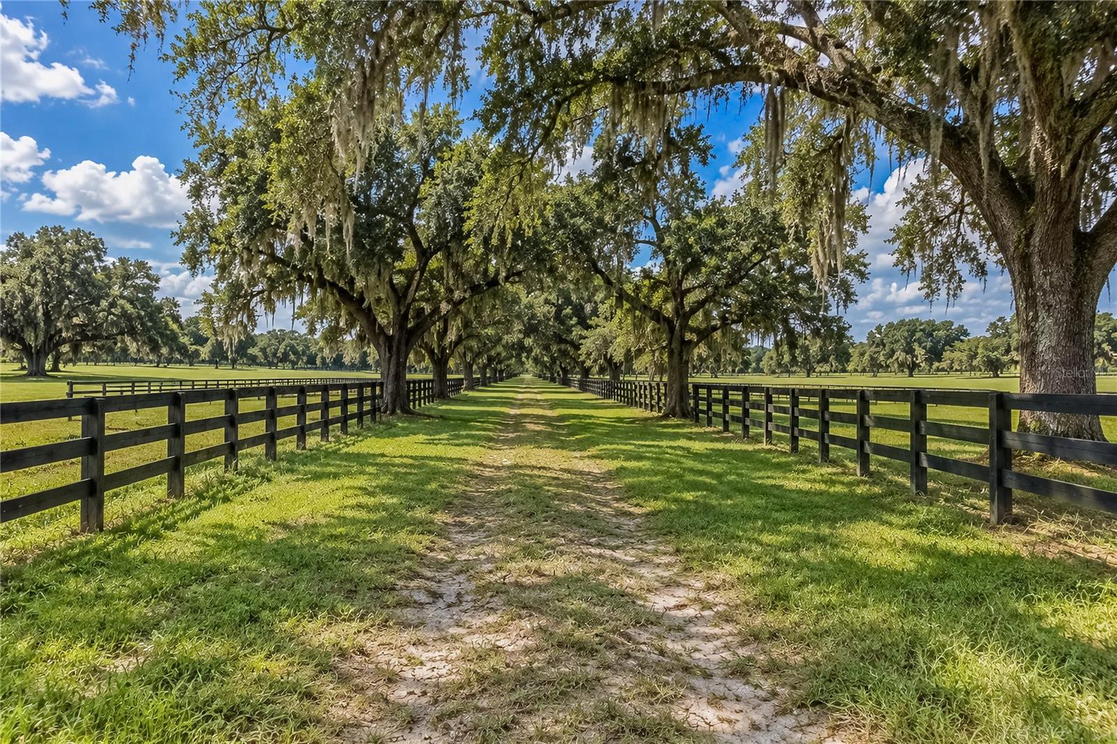 EQUINE ESTATE - Land