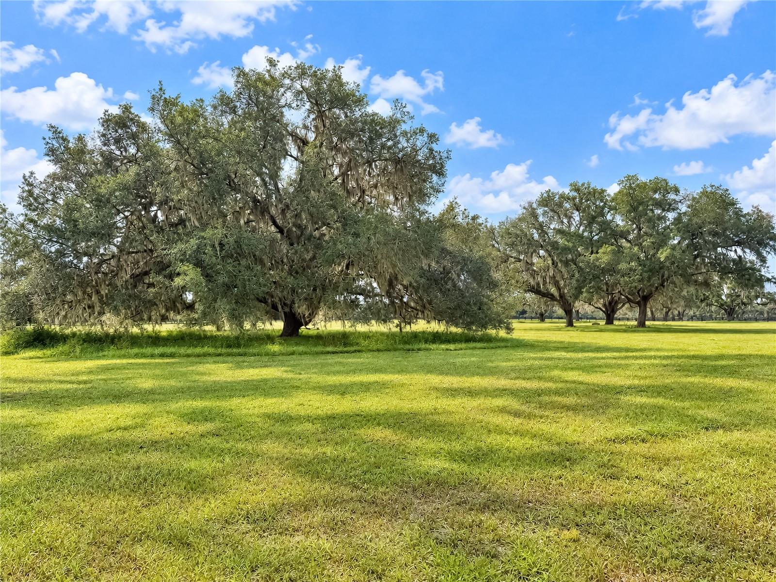 EQUINE ESTATE - Land