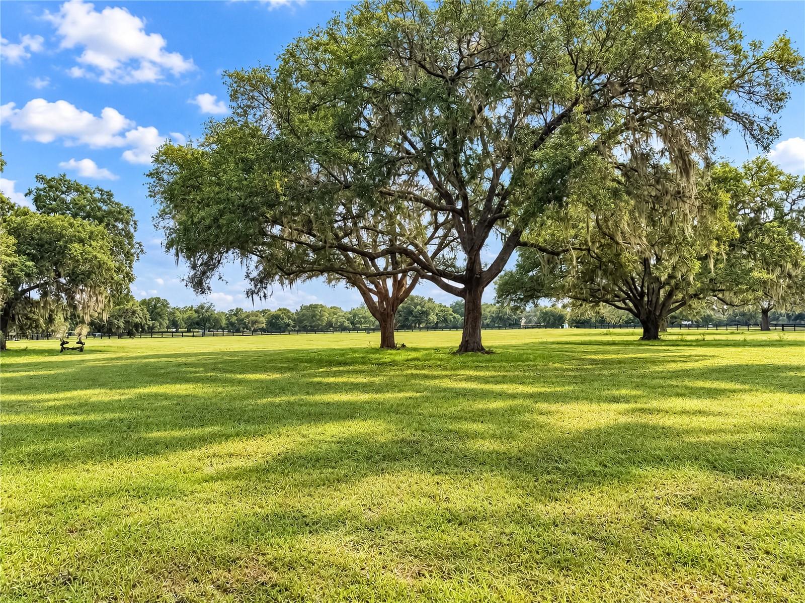 EQUINE ESTATE - Land
