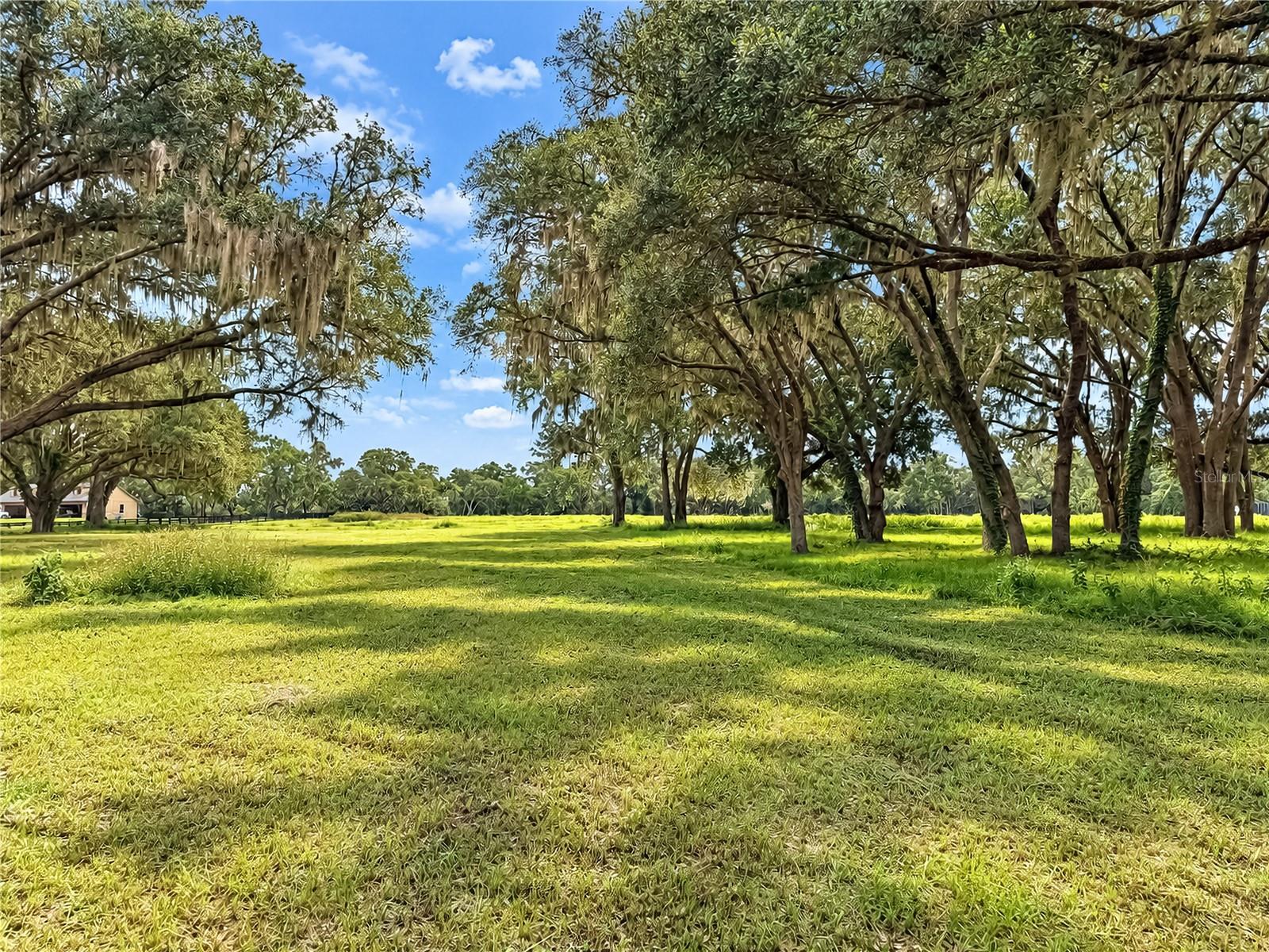 EQUINE ESTATE - Land