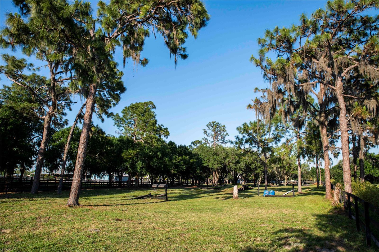 SARASOTA POLO CLUB - Residential