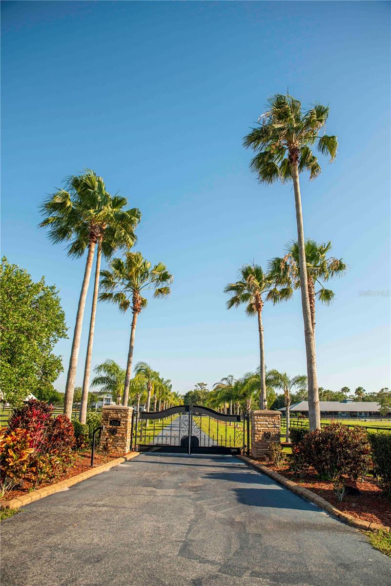 SARASOTA POLO CLUB - Residential