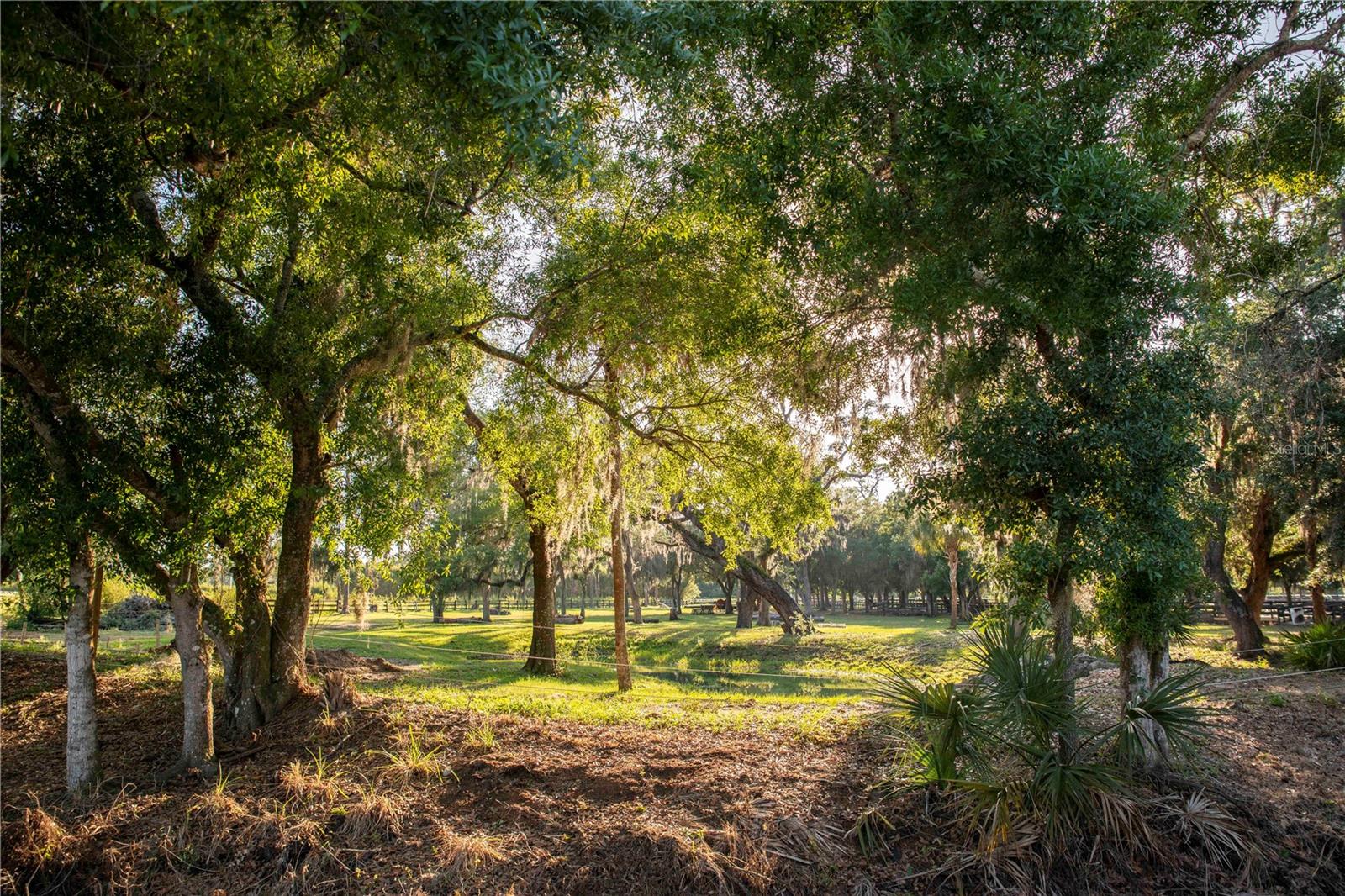 SARASOTA POLO CLUB - Residential