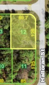 Build your future home on this unimproved residential corner lot in Port Charlotte. Featuring paved road frontage and a convenient location, this property offers a blank canvas for your plans. Need more space? The neighboring parcel 12614 Johannes Ave is also available, offering the opportunity to expand your homesite by purchasing both parcels.