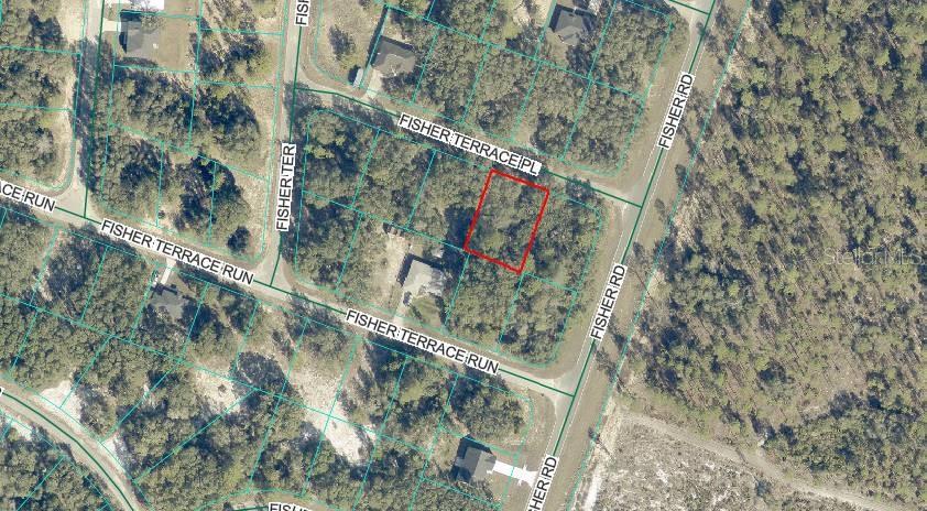 AFFORDABLE, 0.26 AC., HIGH and DRY, FLAT, WOODED BUILDING LOT. This land is NEAR LAKE WEIR with many more lakes also nearby too w/GOOD TREES you can work with and a clearing in the center.   This is a rectangle shaped lot with 90' of Road Frontage, room for a pool and power right down the street.  A growing area in a GREAT LOCATION for you to build your dream home. Nice, paved roads, easy access to Ocala, Lake Weir or the Villages. NO HOA, NO MOBILE HOMES and SITE BUILT HOMES ONLY. Buy this land to hold as an investment with cheap taxes and no timeline to build and/or purchase an available land/home package and START BUILDING TODAY! https://www.pa.marion.fl.us/patviewer/?PARCEL=9036-1136-04. Lot GPS Coordinates: 29.03705134, -81.87300333