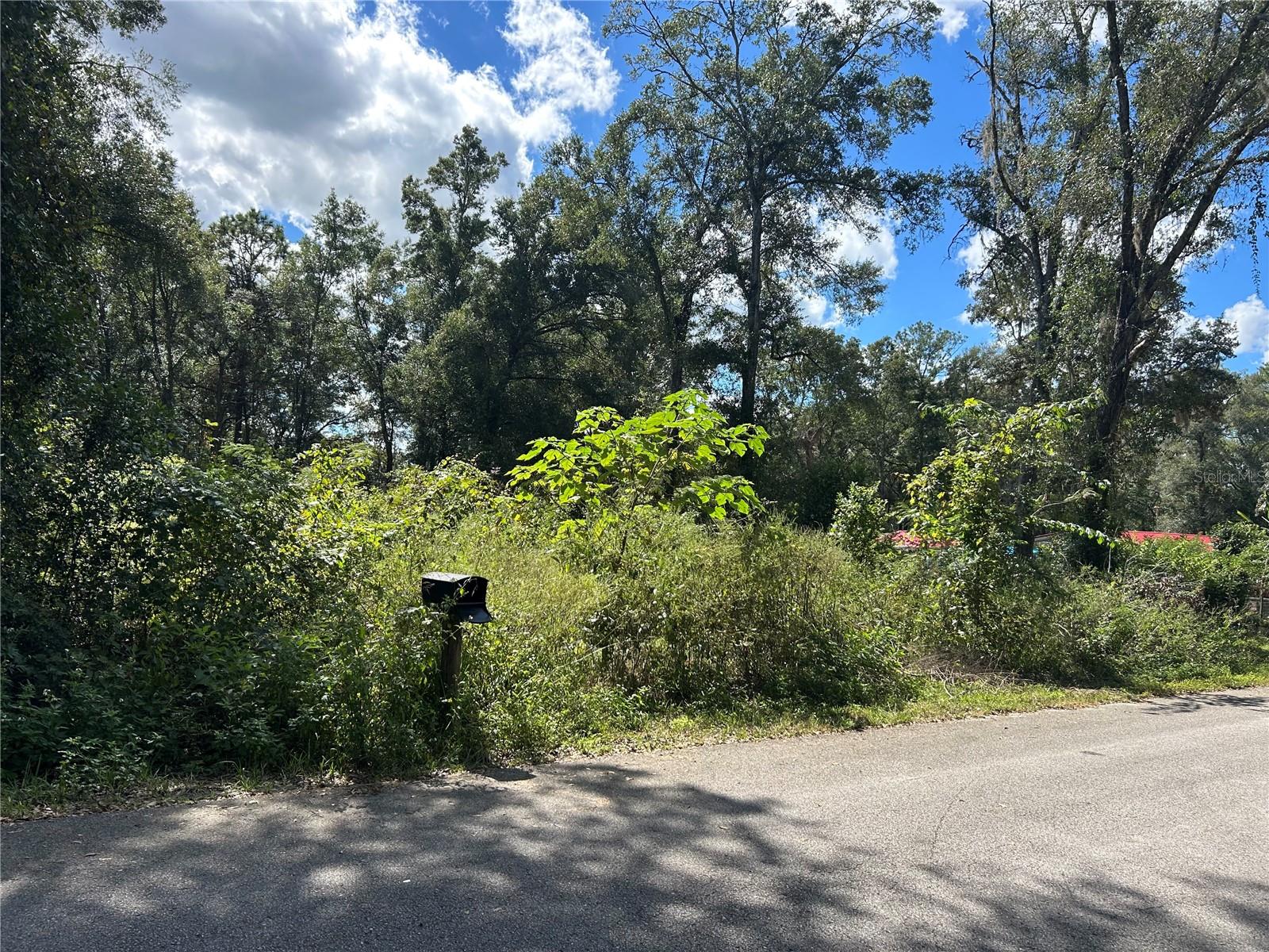 OCALA ESTATE - Land