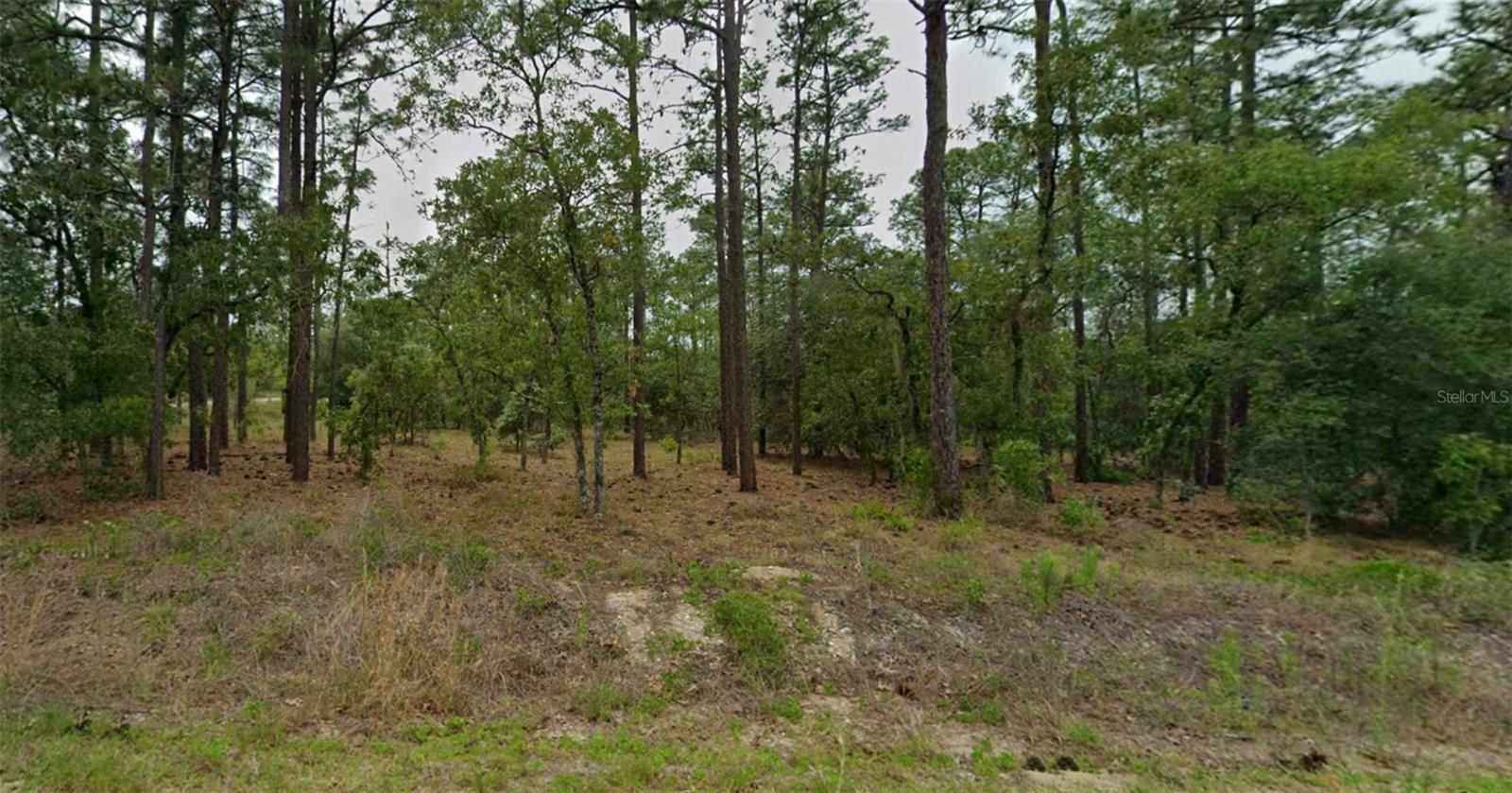 Your next chapter starts with land! Explore the possibilities of this lot in Rainbow Lakes Estates, located in Levy County in the Dunnellon area. Bring your vision for a future Florida home or consider adding land to your long-term investment plans. Discover the surrounding area’s outdoor appeal, from Rainbow Springs State Park to recreation along the Rainbow River. Take the opportunity to explore this property’s potential firsthand. Buyer and buyer’s agent to verify zoning, permitted uses, buildability, lot dimensions, legal access, utilities, flood zone, and applicable restrictions with the appropriate county departments.