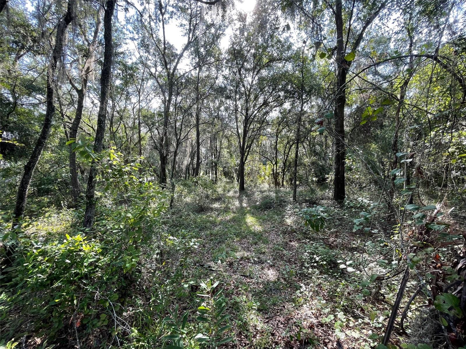 RAINBOW LAKES ESTATES - Land