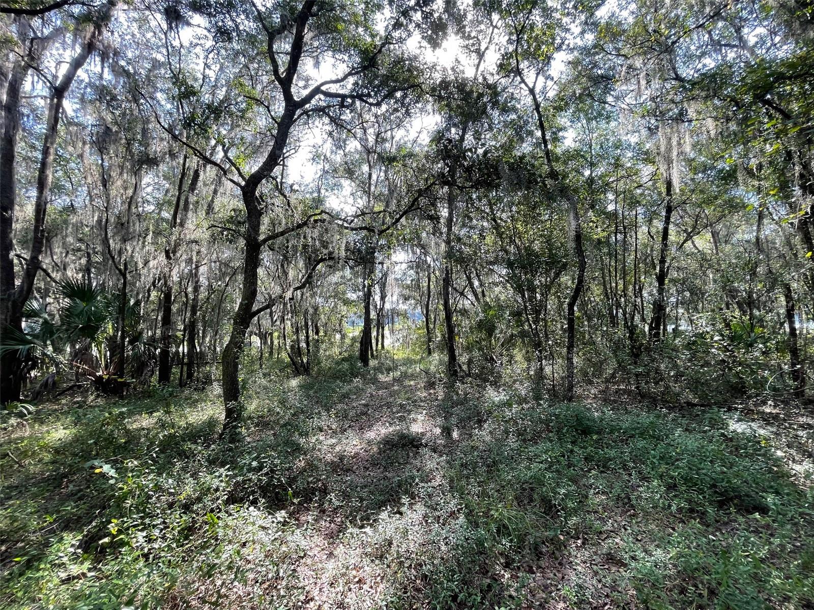 RAINBOW LAKES ESTATES - Land