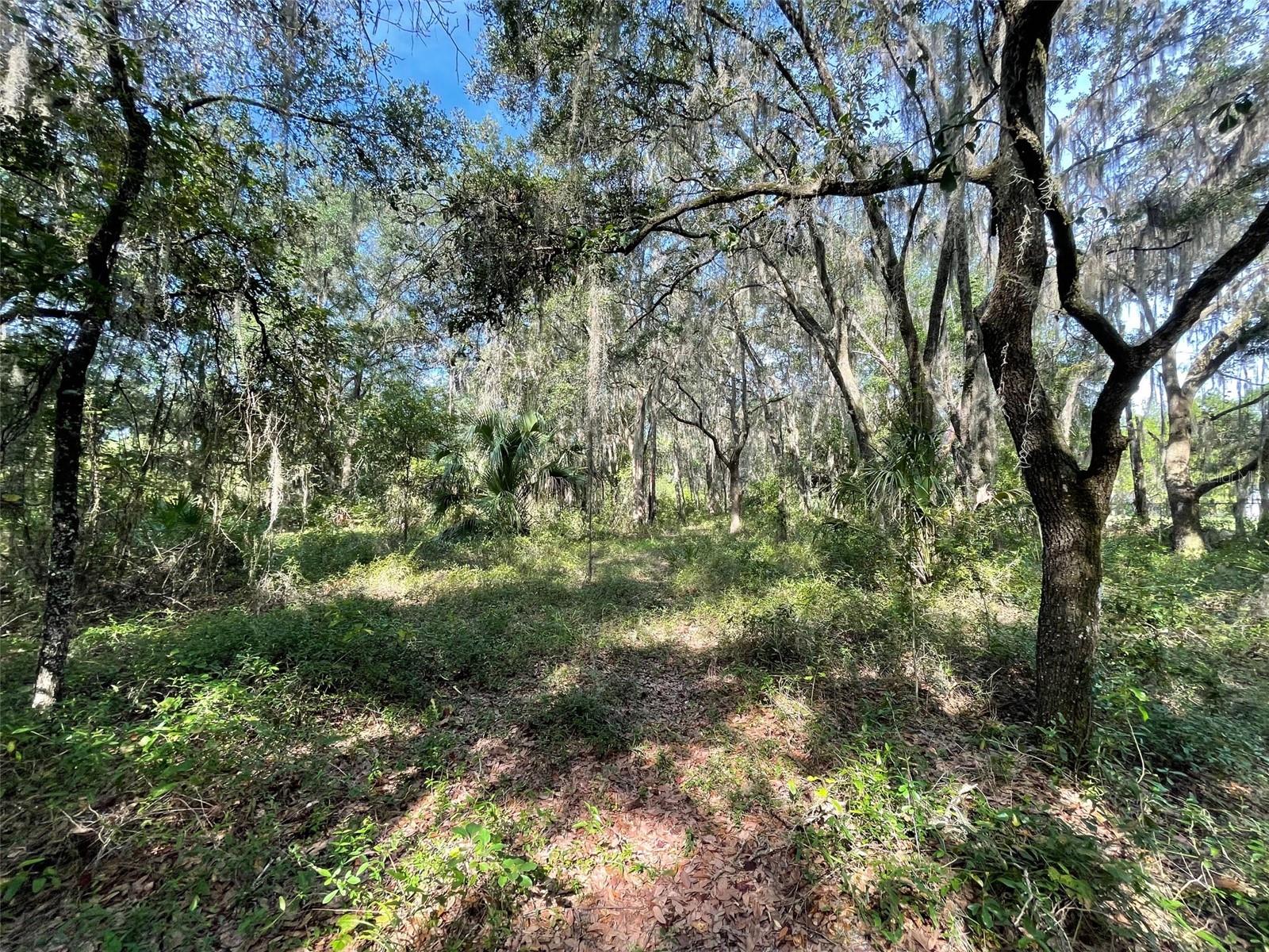 RAINBOW LAKES ESTATES - Land