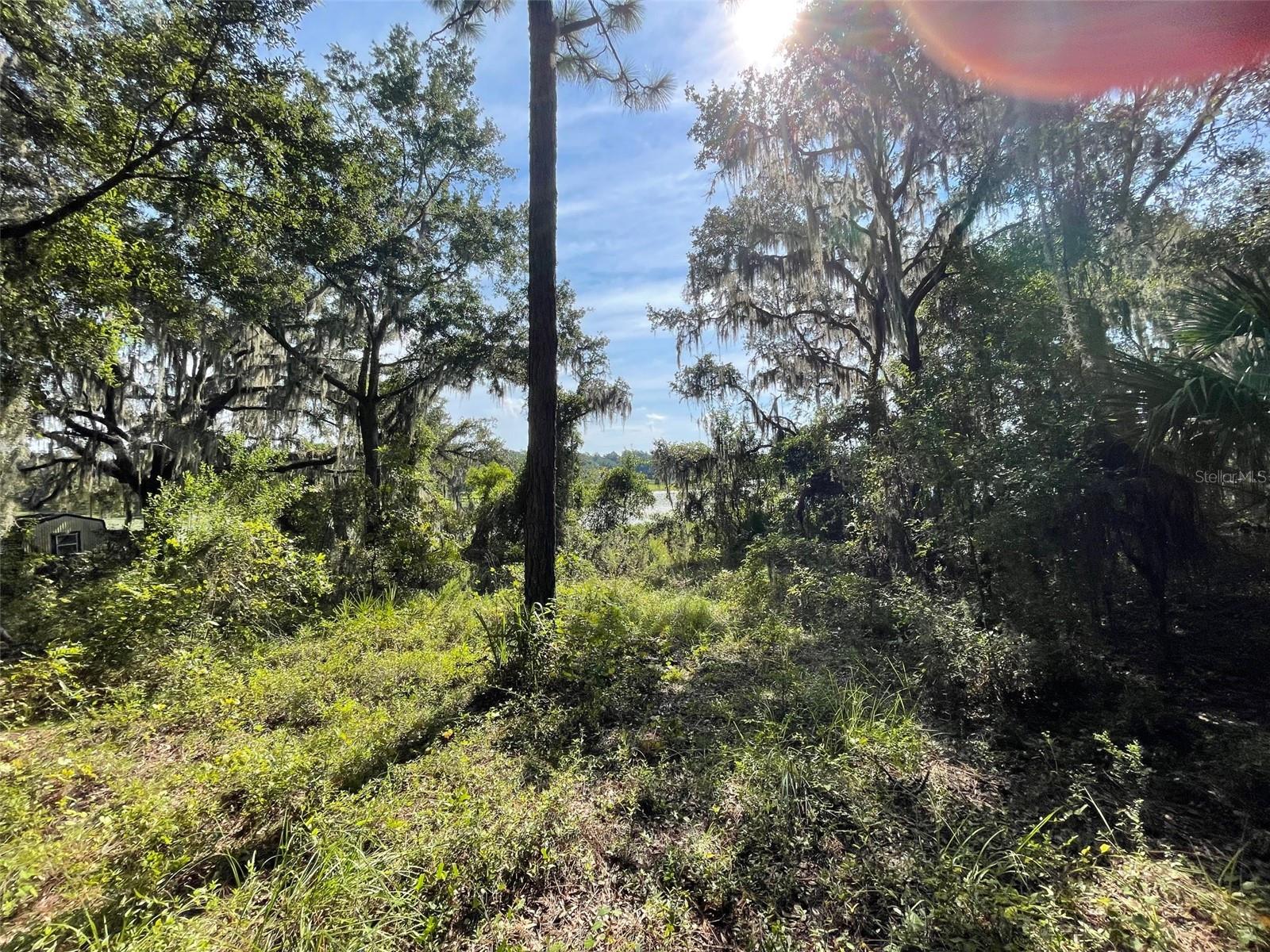 RAINBOW LAKES ESTATES - Land