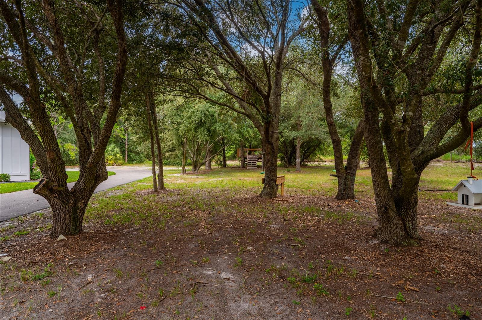 PUNTA GORDA - Residential