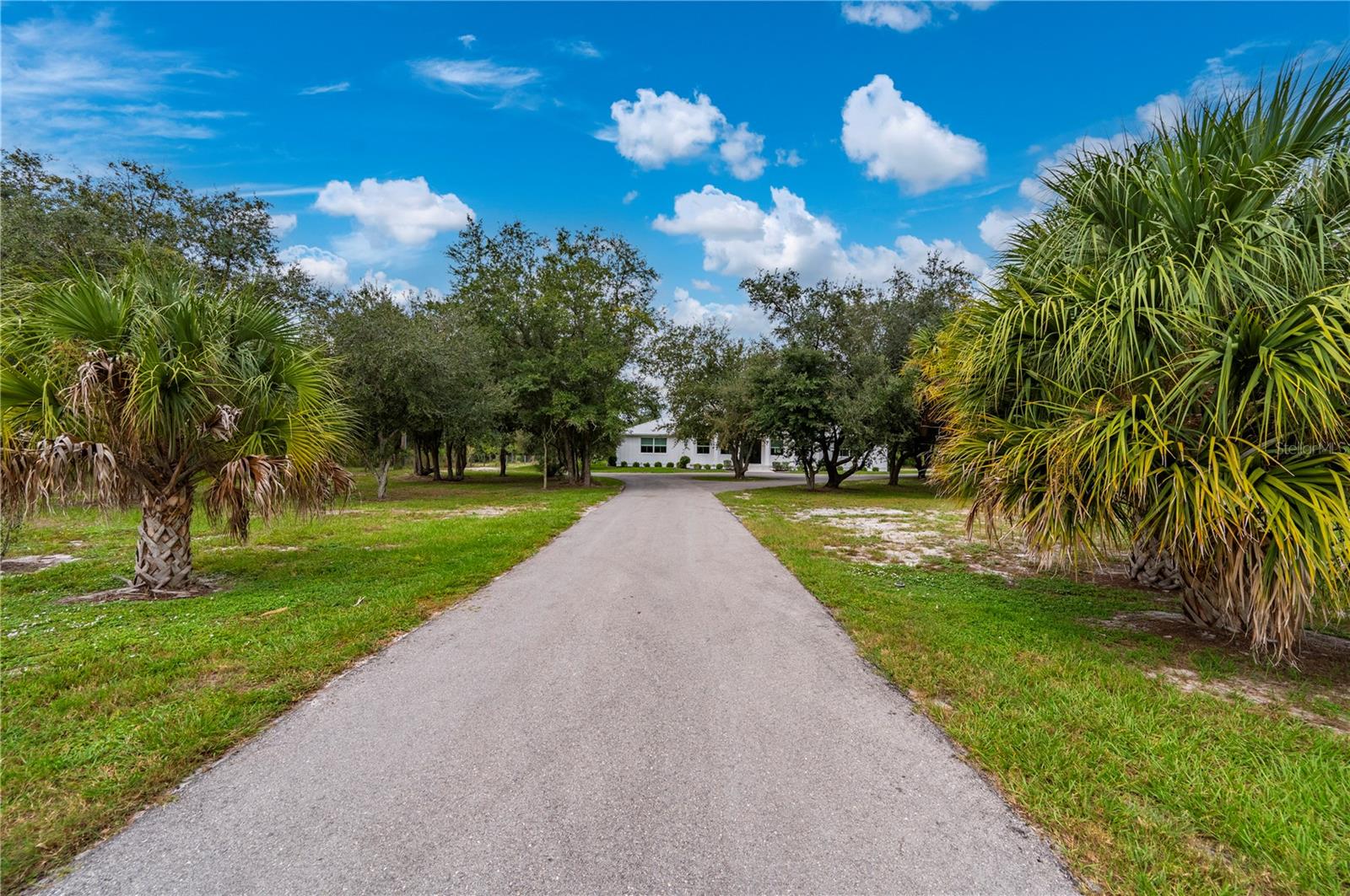 PUNTA GORDA - Residential