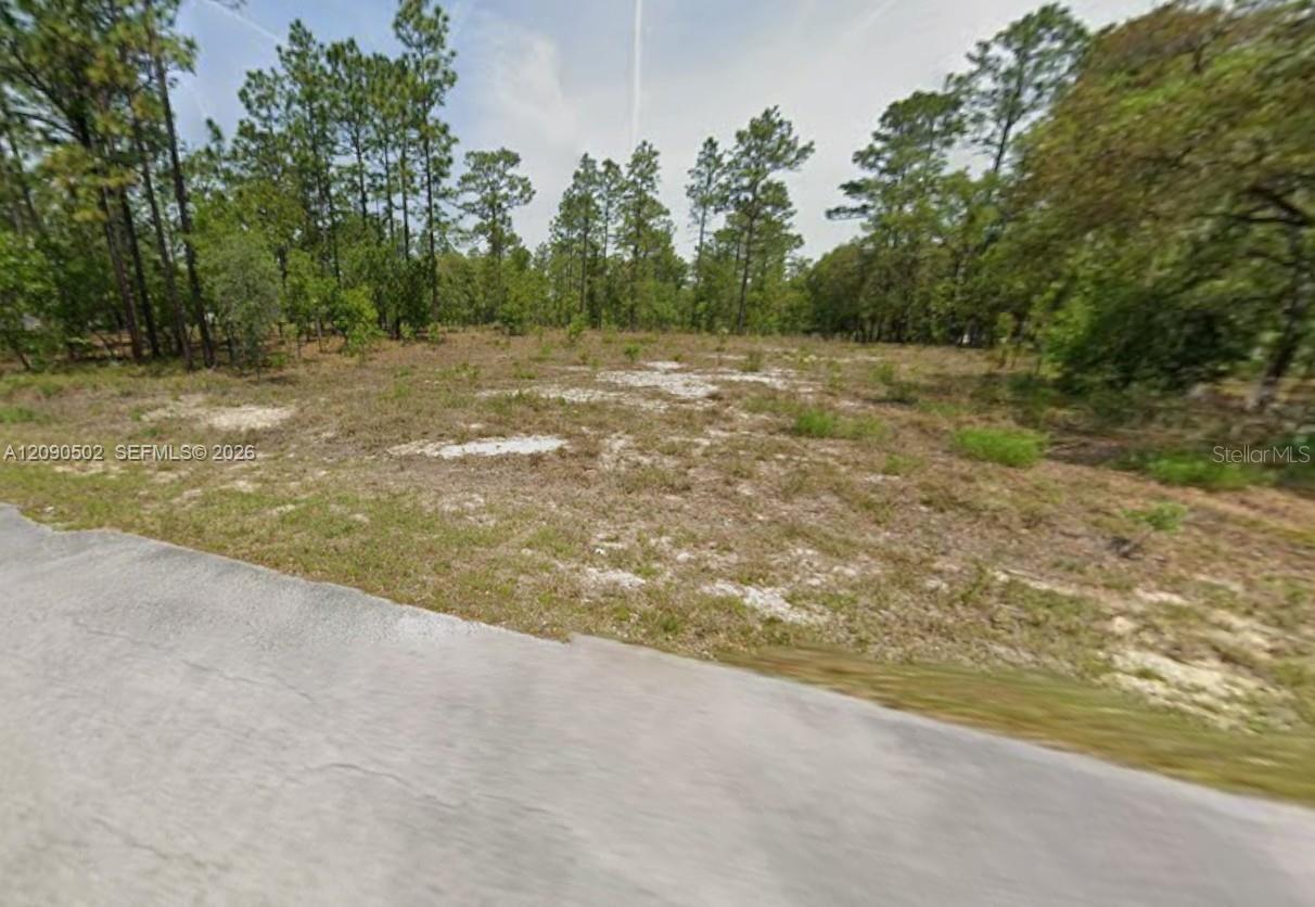 An amazing vacant Lot in Rainbow Lakes awaits you! This is the perfect place to build your dream home, the community has Three lakes, a fishing pier, walking trails, a school, library and more. Electricity is already on this street. In a developing area this is a great opportunity to take advantage of this vacant land NOW! Located in Dunnellon Florida, near Ocala