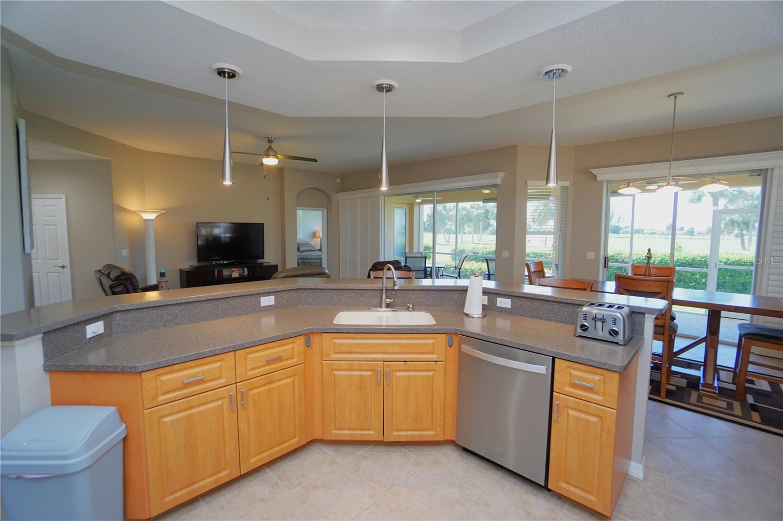 VIZCAYA AT BURNT STORE ISLES P - Residential