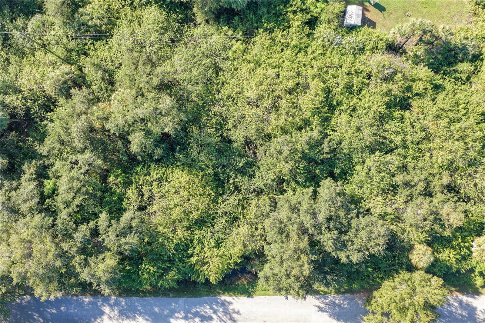 PORT CHARLOTTE SEC 013 - Land