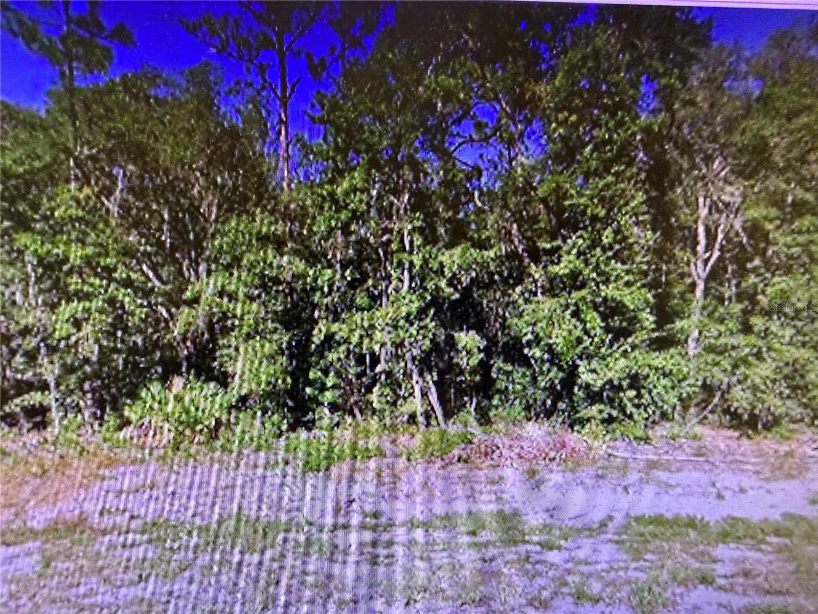INTERLACHEN LAKES ESTATES - Land