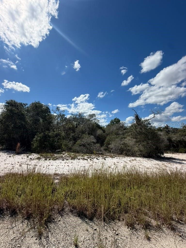 SUN 'N LAKES ESTATES - Land
