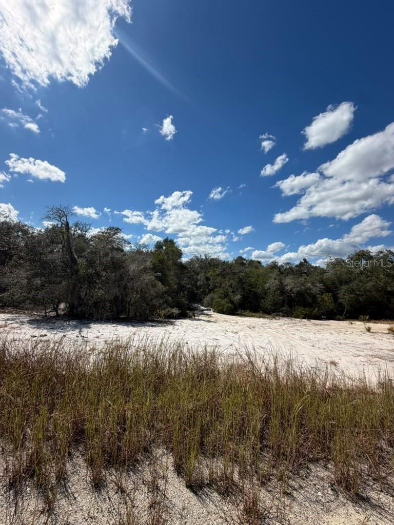 SUN 'N LAKES ESTATES - Land