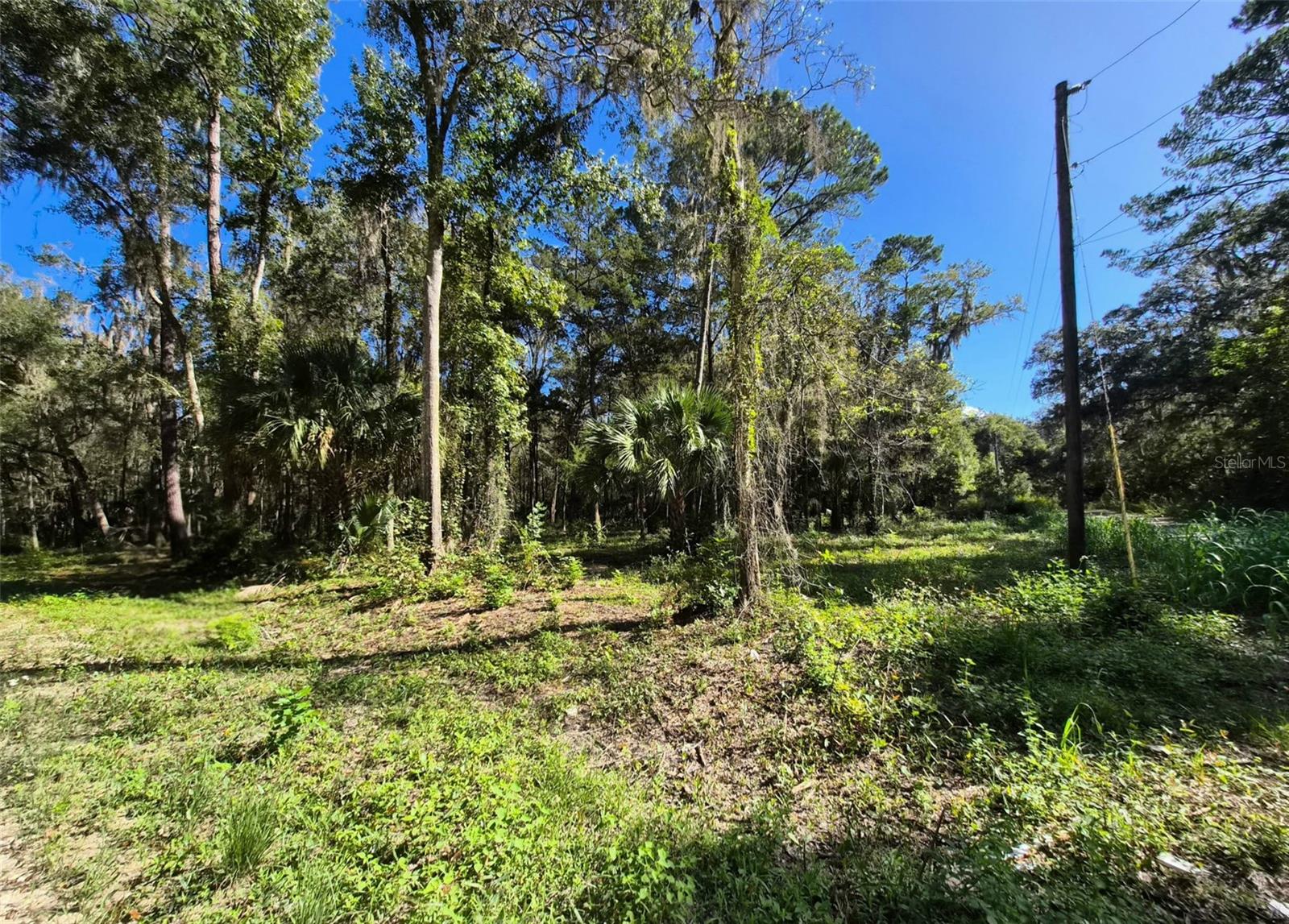 Discover an exceptional opportunity to own vacant land in the rapidly expanding Ocala area, ideal for building the home you’ve always envisioned. Whether you plan to construct a custom site-built residence or place a manufactured home, this lot provides the flexibility and freedom to bring your plans to life.

An adjacent lot is also available, approximately 0.25 acres, giving you the option to expand your footprint, invest strategically, or pursue a multi-lot project. With growth surging throughout Marion County, securing land in this area is a smart move for both homeowners and investors.

Don’t miss the chance to own property in one of Florida’s fastest-growing regions.