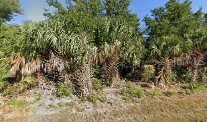PORT CHARLOTTE SEC 095 - Land