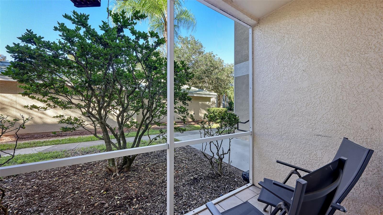 SERENADE ON PALMER RANCH - Residential