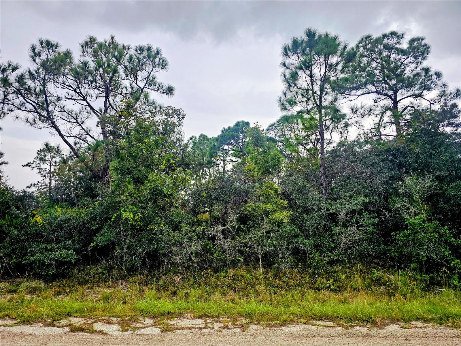 PLACID LAKES SEC 14 - Land