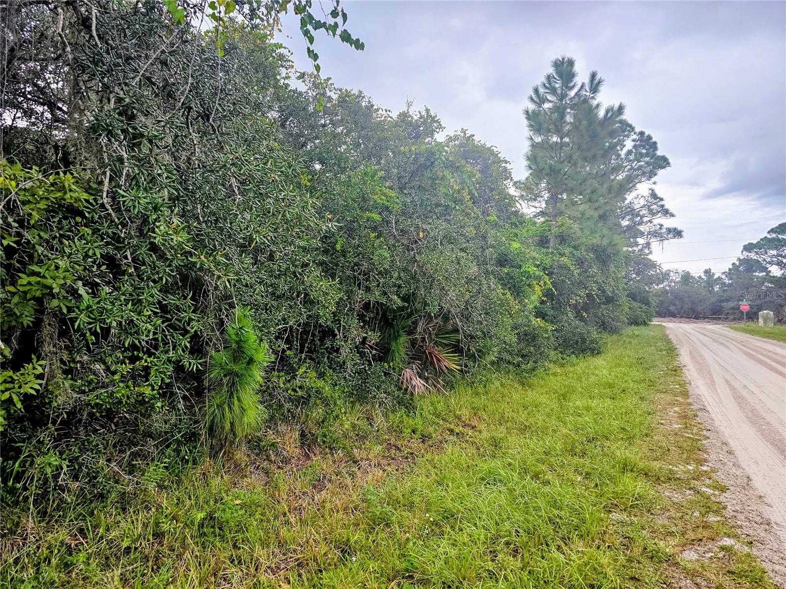 PLACID LAKES SEC 14 - Land
