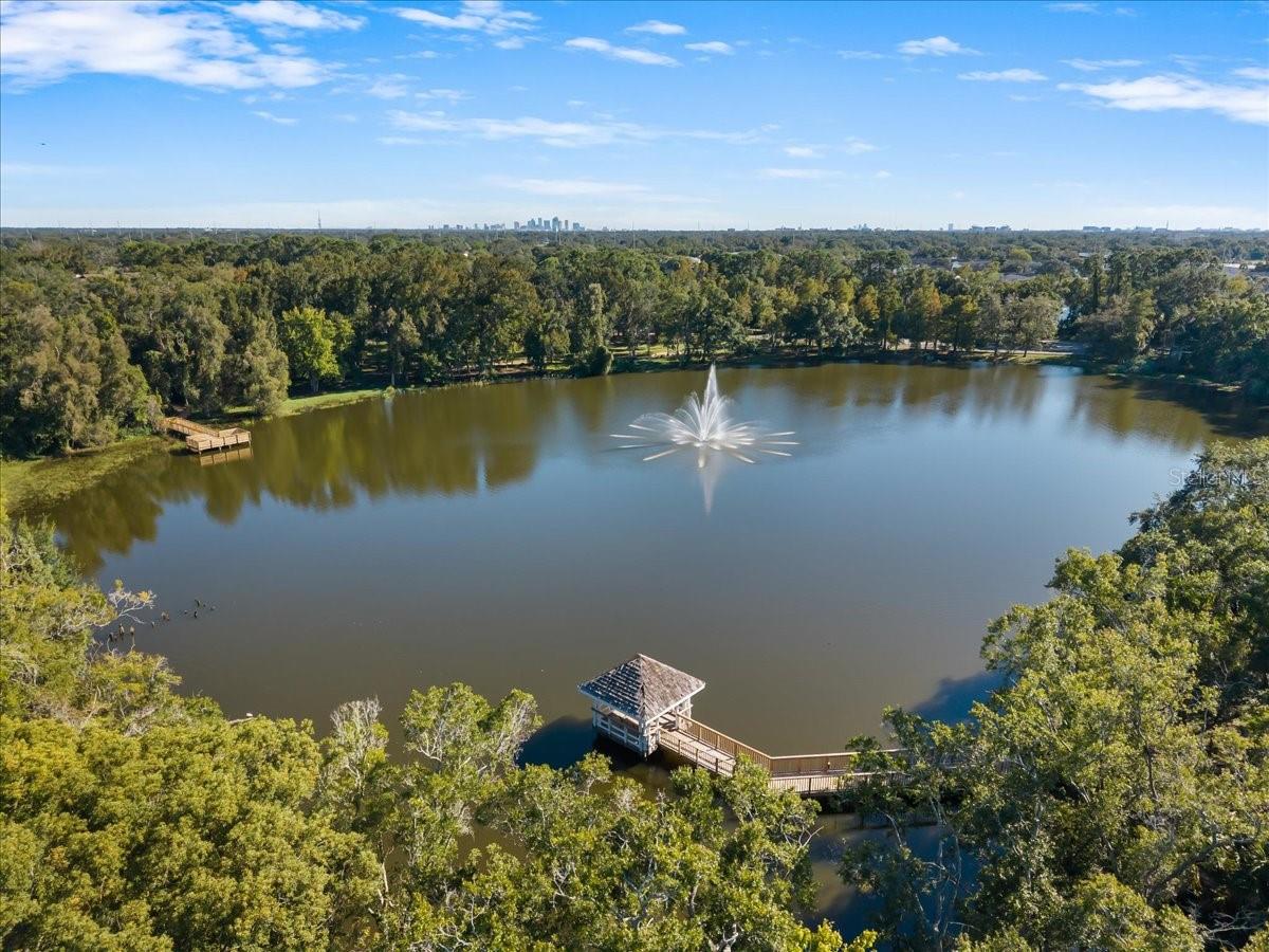 GRANDE OASIS AT CARROLLWOOD - Residential