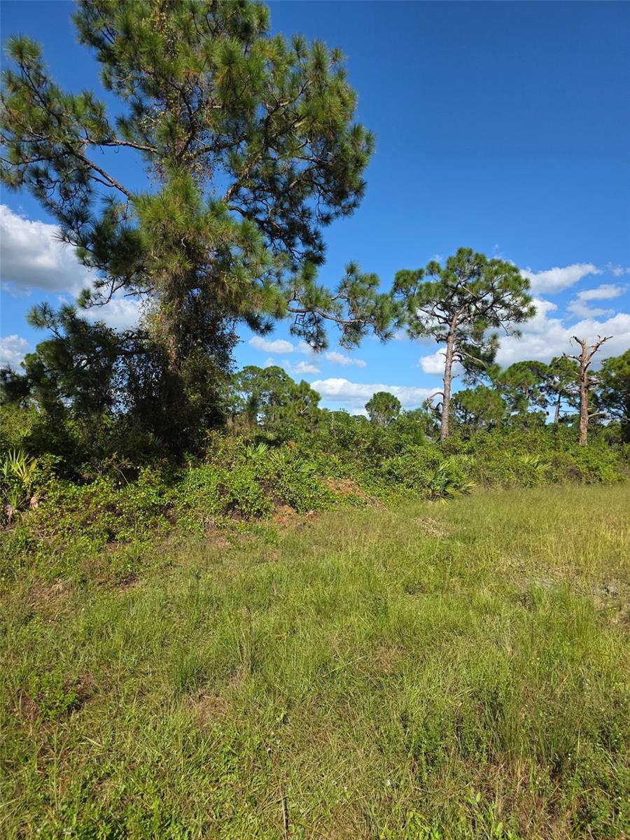 LEHIGH ACRES - Land