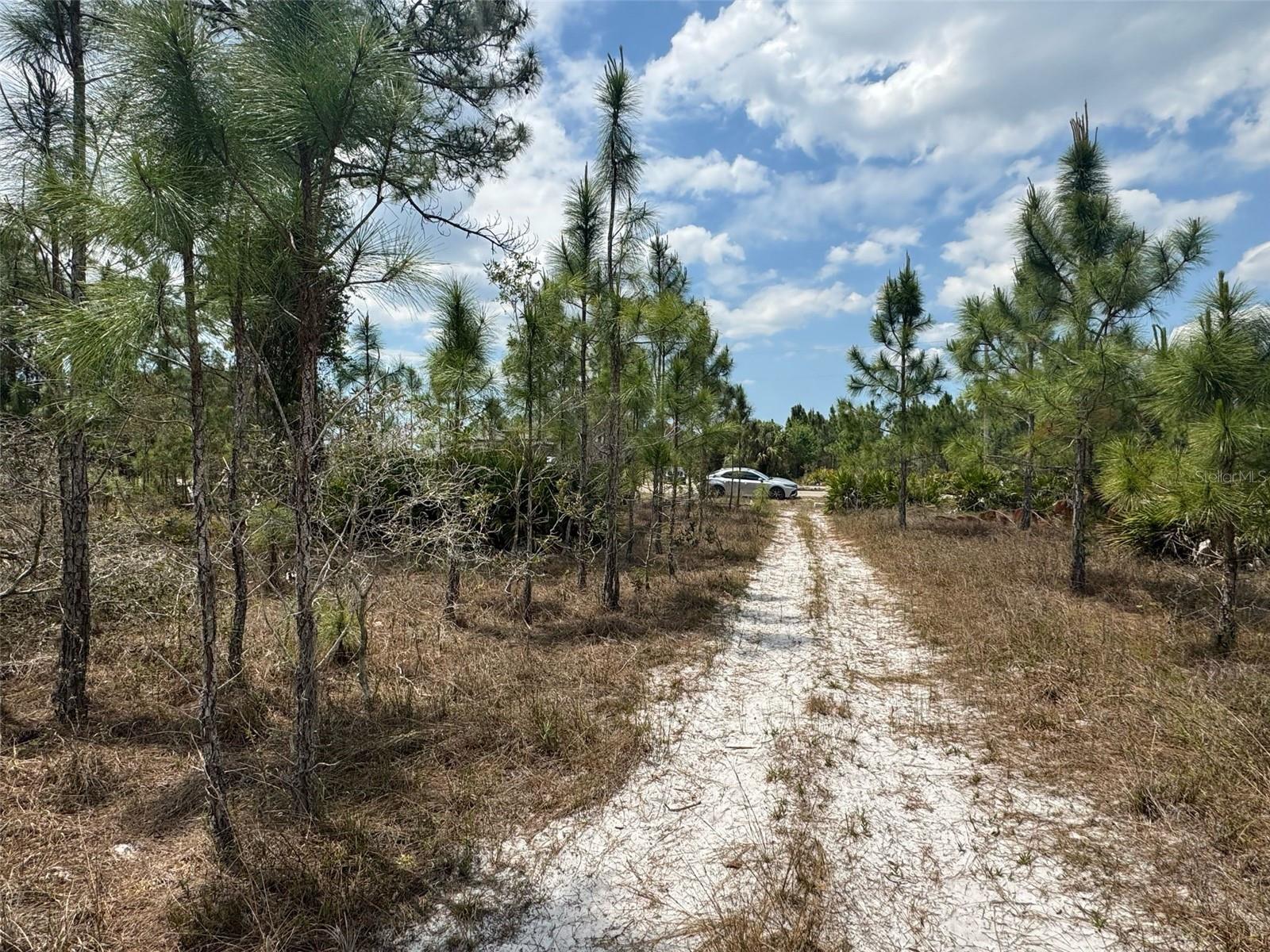 LEE COUNTY UNINCORPORATED - L - Land