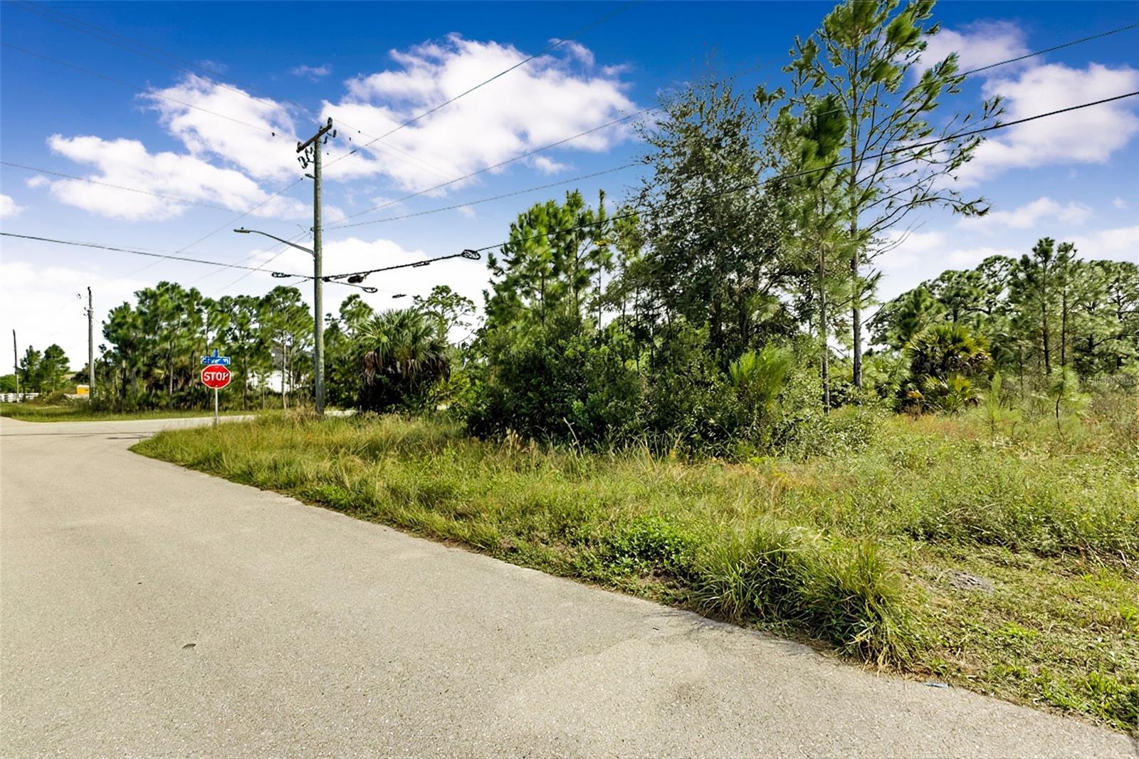 LEHIGH ACRES - Land