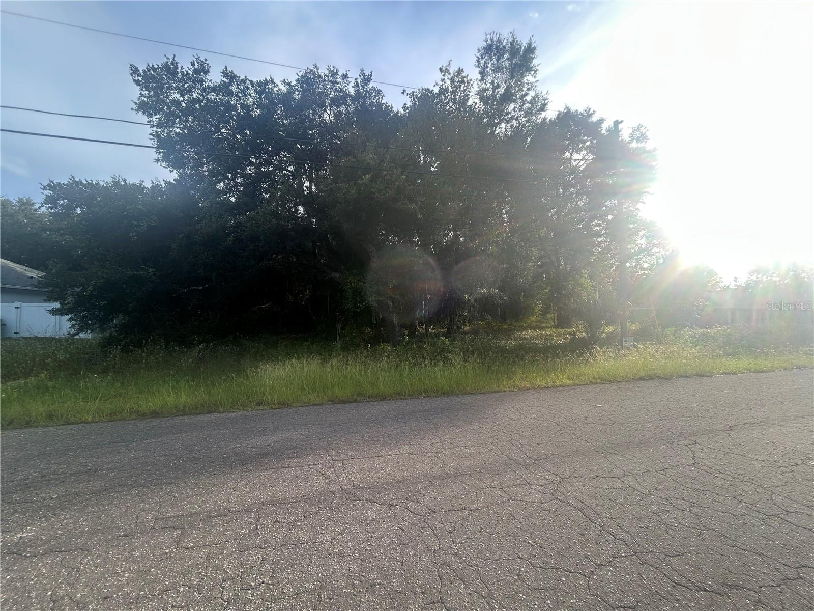 Residential Vacant Lot located in beautiful Ocklawaha with 0.23 lot size almost a quarter of an acre.  Is located next to brand new houses right in front of 159 Guava Terrace, Ocklawaha, FL  32179.  You can build your dream house in this vacant residential lot.