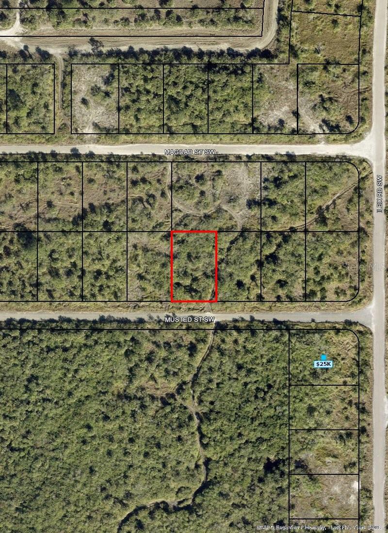 Great opportunity to own approximately 0.23 acres in Southwest Palm Bay. This 10,019 sq ft residential lot provides the potential to hold land as a long-term investment or explore future development possibilities. Located in a developing area of Palm Bay with natural surroundings. Buyer and buyer’s agent to verify zoning, utilities, road conditions, buildability, environmental conditions, and all development requirements with the appropriate authorities.