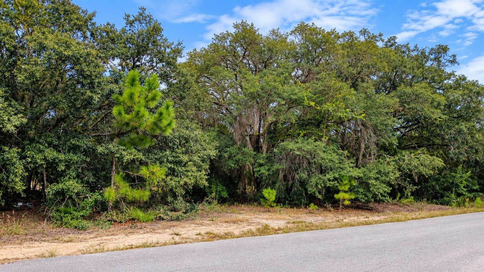 Great opportunity to own a spacious residential lot in Silver Springs Shores, Ocklawaha, Florida. This irregularly shaped parcel offers approximately 100 feet of road frontage and generous lot dimensions of approximately 100 x 191 x 106 x 154 feet. Located in a peaceful residential area surrounded by Central Florida's natural beauty, the property provides a great opportunity for a future homesite or real estate investment. Enjoy convenient access to outdoor recreation, lakes, shopping, dining, and other Marion County amenities. Whether you are planning for the future or adding land to your investment portfolio, this property offers an excellent opportunity to own land in a growing area. Buyer and buyer's agent are responsible for independently verifying zoning, permitted uses, buildability, utilities, well and septic requirements, lot dimensions, road frontage, flood information, and all other property details with the appropriate governmental authorities.
