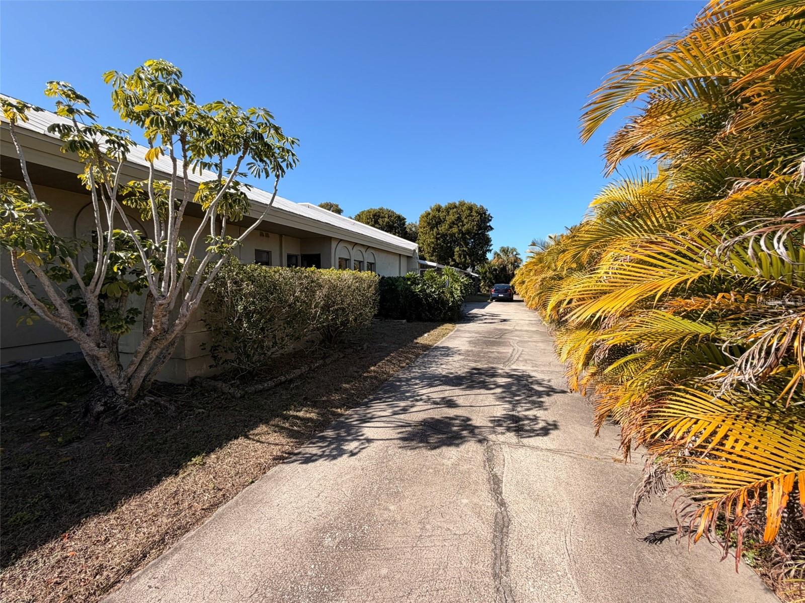 ACREAGE & UNREC - Commercial Sale